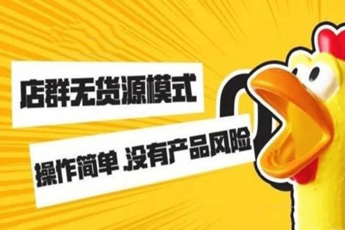 亚马逊企鹅店长erp系统定制跨境电商没有货源